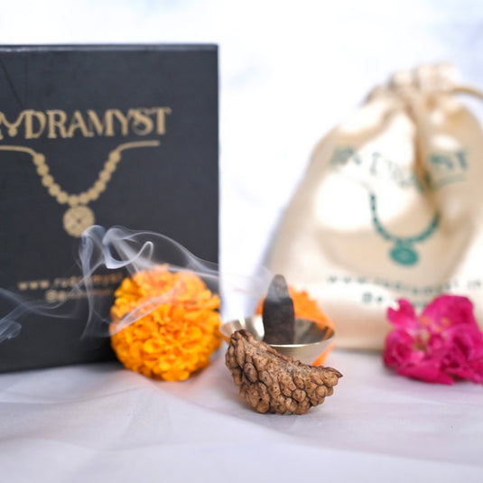 1 Mukhi Rudraksha (Himalayan Origin)