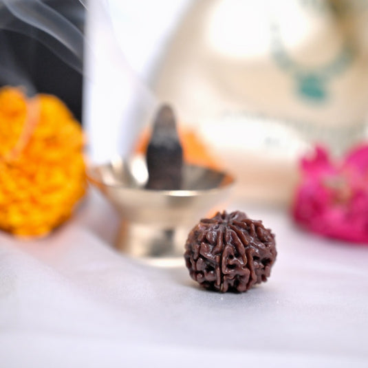8 Mukhi Rudraksha (Nepali)