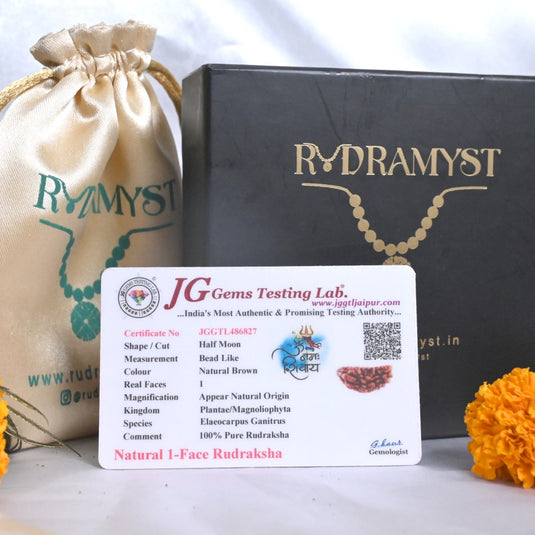 1 Mukhi Rudraksha (Himalayan Origin)