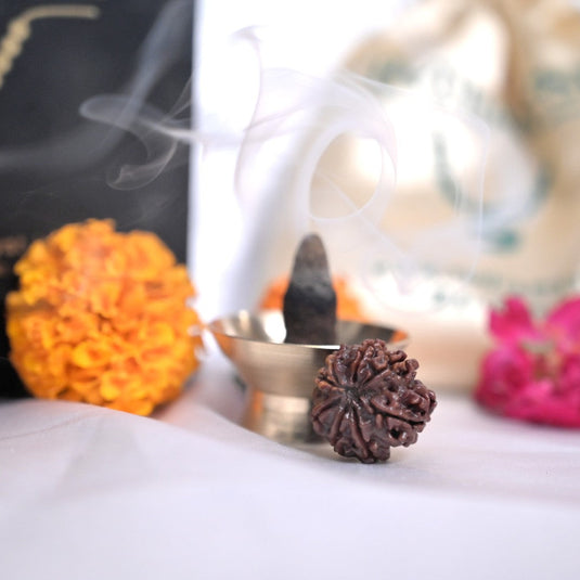 8 मुखी रुद्राक्ष के फायदे: विघ्नहर्ता गणेश का आशीर्वाद, सफलता और बाधा निवारण का प्रतीक