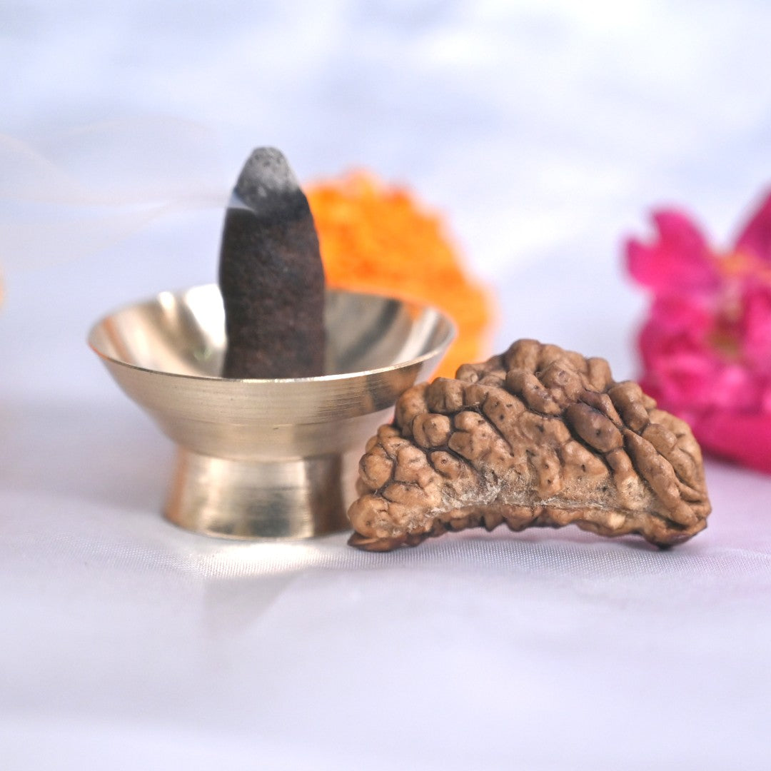 Nepali Rudraksha Beads