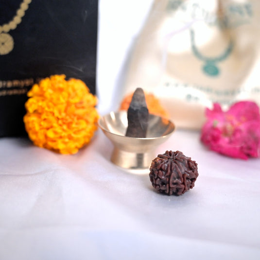 8 Mukhi Rudraksha (Nepali)