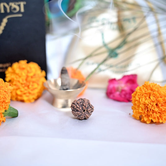 6 Mukhi Rudraksha (Nepali)