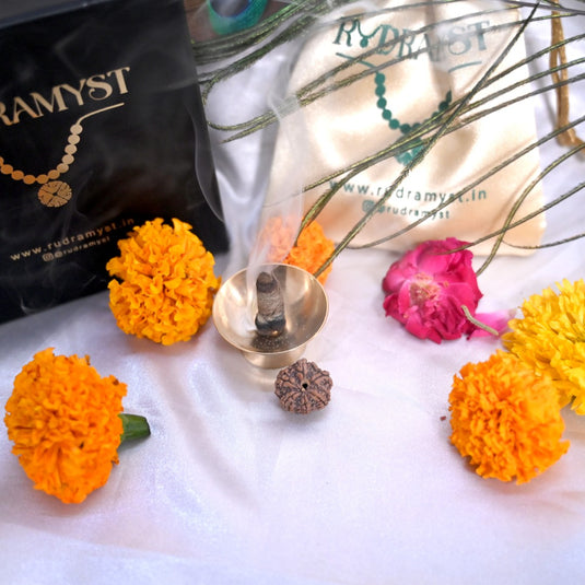6 Mukhi Rudraksha (Nepali)