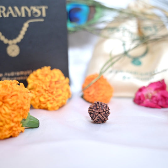 5 Mukhi Rudraksha (Nepali)