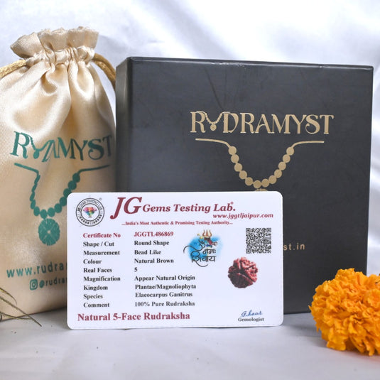 5 Mukhi Rudraksha (Nepali)
