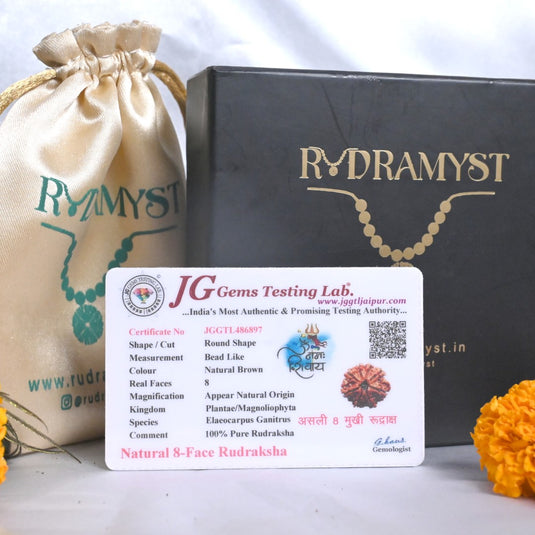 8 Mukhi Rudraksha (Nepali)